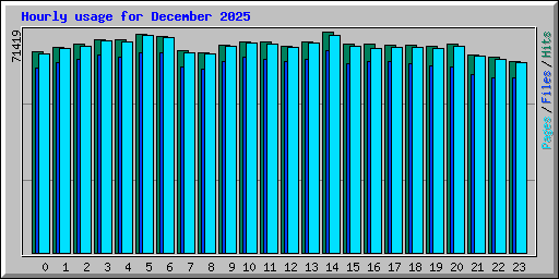 Hourly usage for December 2025